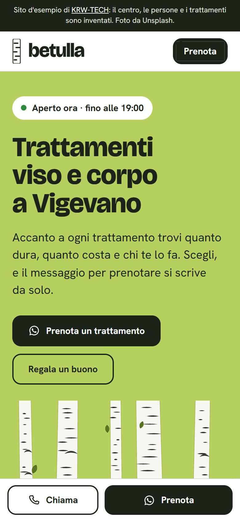La prima schermata del sito d'esempio vista dal telefono: se il centro è aperto adesso, il titolo con la città, il bottone per prenotare e le betulle del marchio